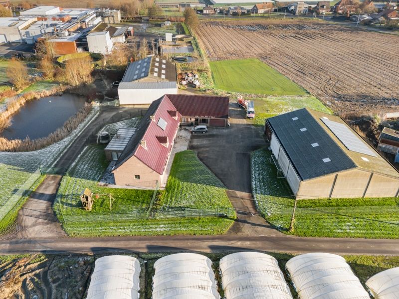 Staden. RUIME VILLA MET POTENTIEEL + loods van 435 m2 + loods van 515 m2 . Totaal perceel met tuinen en vijver = +/- 9000m2. Ideaal opbrengsteigendom en eigen gebruik. foto 3