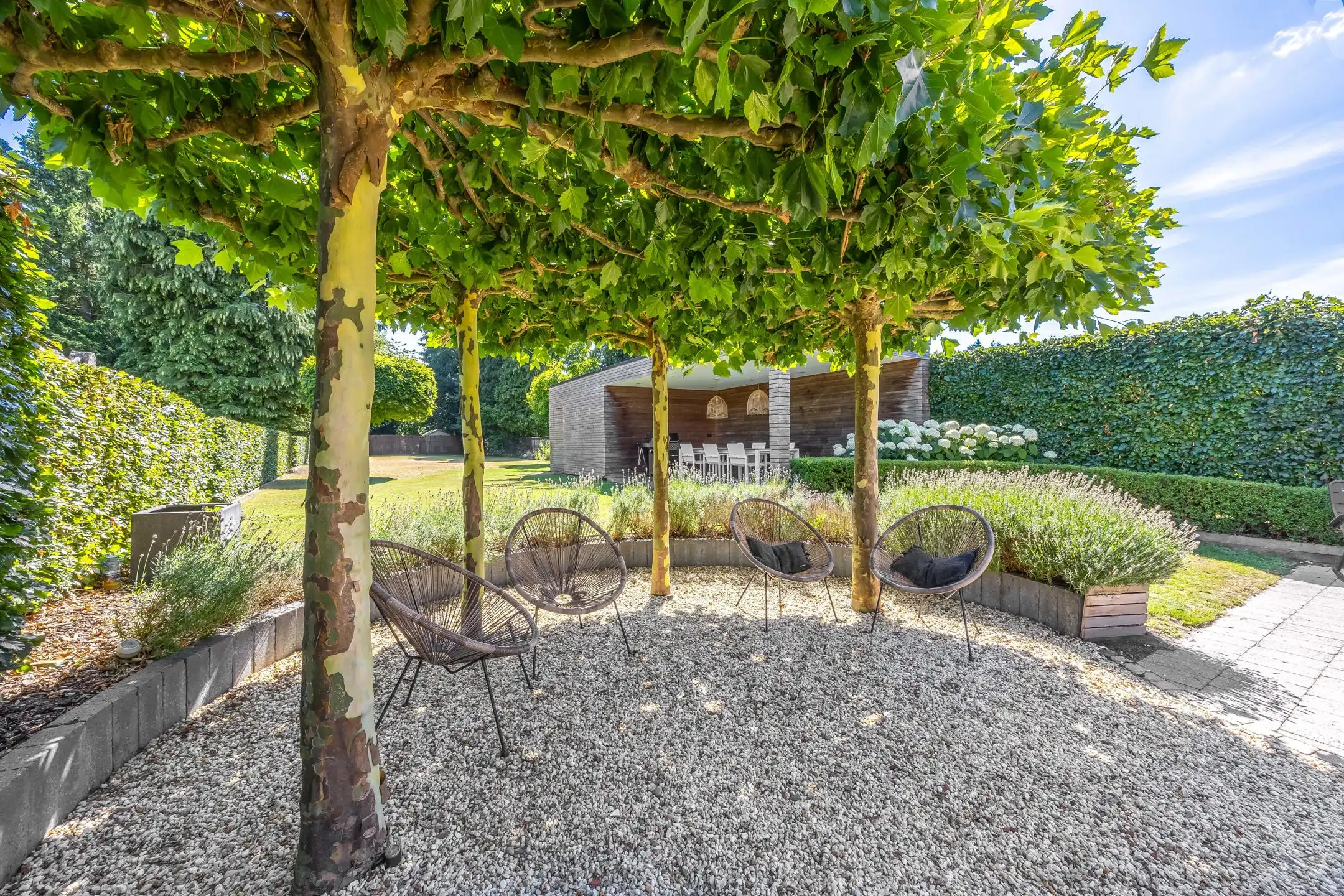 Moderne woning met tuin nabij het centrum van Westmalle foto 18