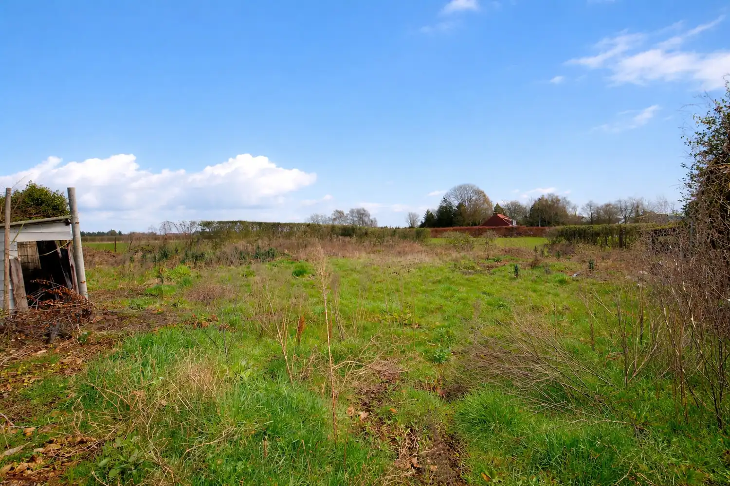 TE RENOVEREN WONING OMGEVEN DOOR AGRARISCH GEBIED! foto 19