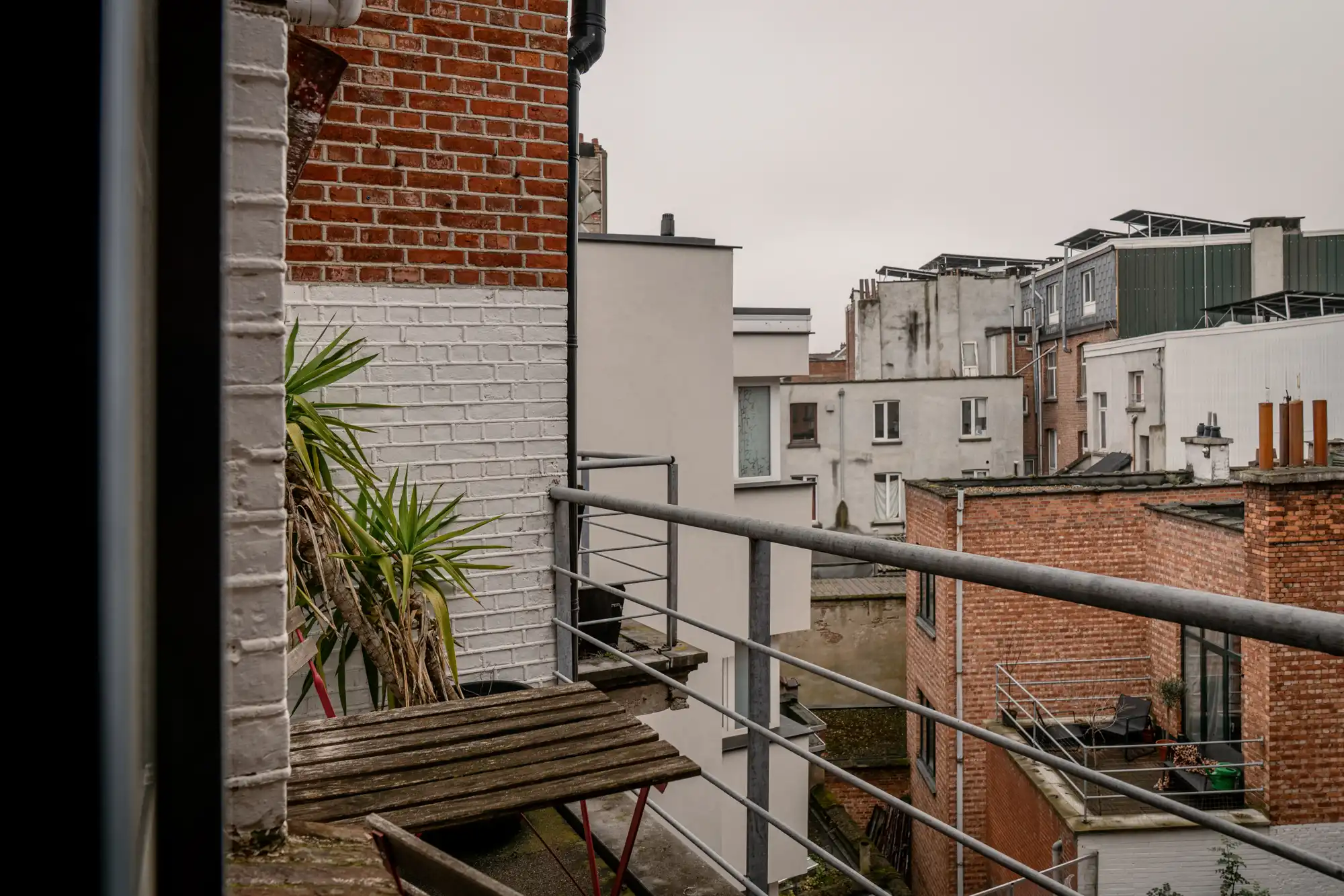 De Kers op de Taart: licht en rust op de hoek van ’t Zuid en Sint-Andries foto 18