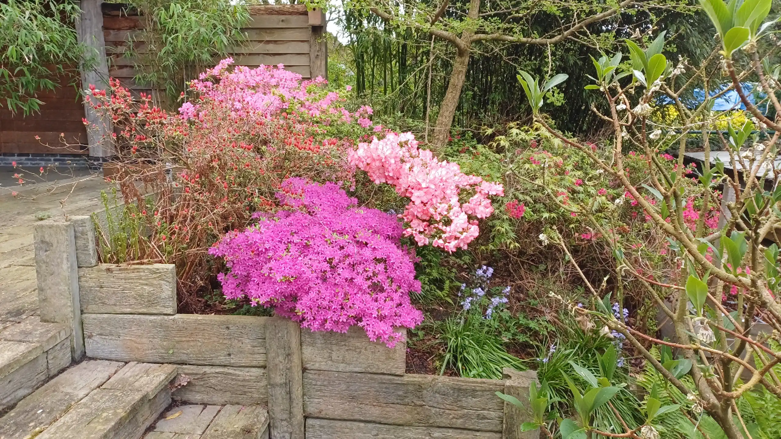 Gerenoveerde laagbouw Woning (EPC A) met Exotische Tuin  foto 37