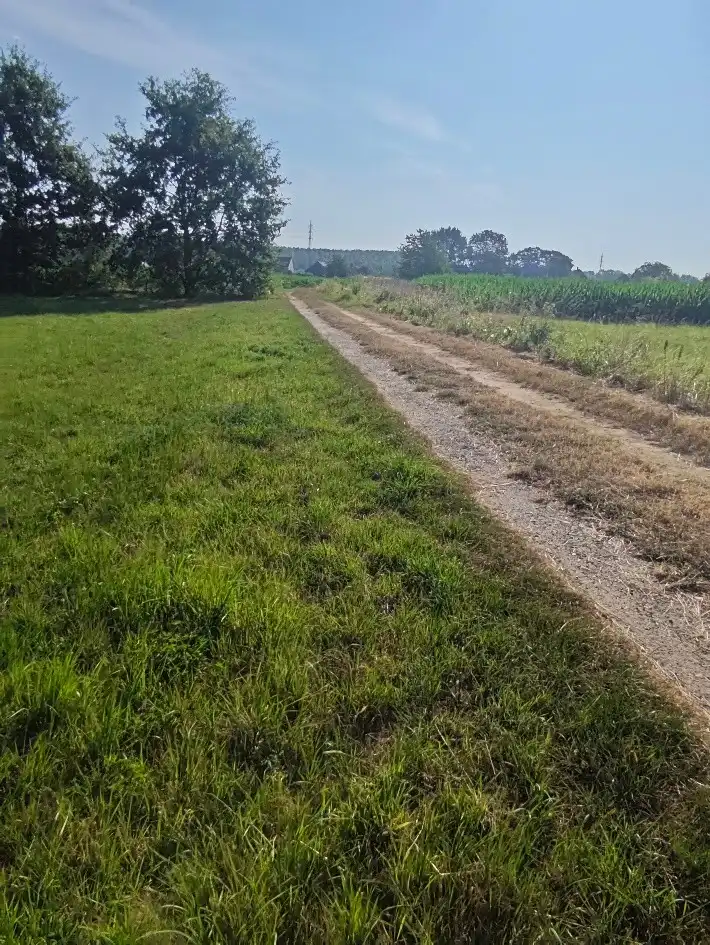 Vrije blok landbouwgrond te koop in Holsbeek foto 2