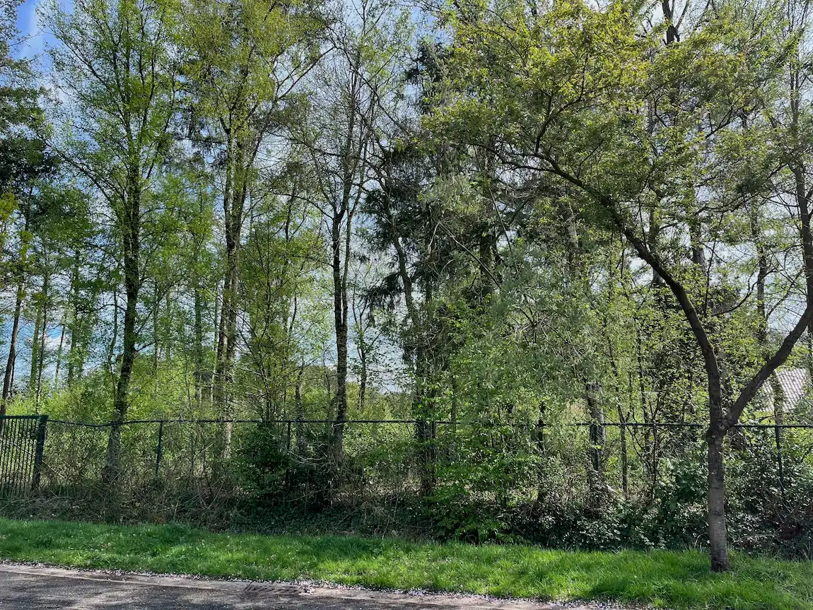 Rustig gelegen villagrond foto 3