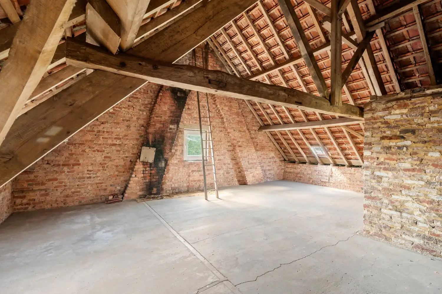 UNIEKE LANDELIJKE EIGENDOM MET WONING, STALLEN EN 15.380 M² GROND – EEN OASE VAN RUST EN RUIMTE IN PAJOTTEGEM foto 30