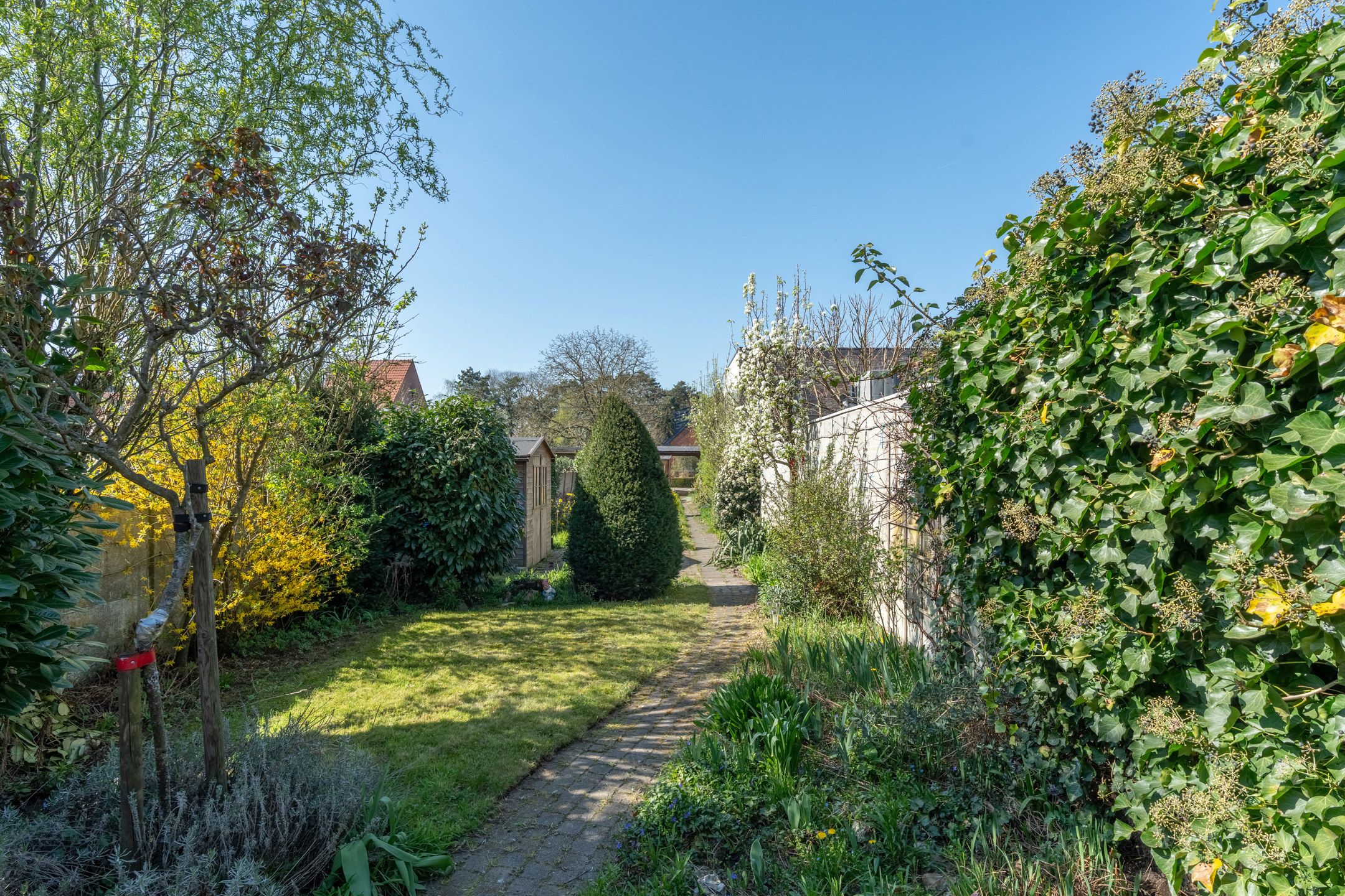 Te renoveren woning met 4 slpks en tuin te Gierle foto 17