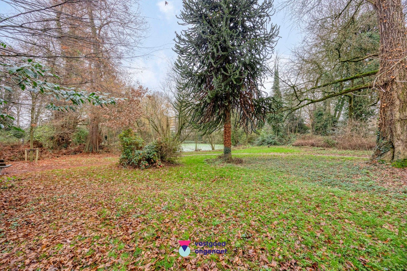 3 gevel woning Lieve Park foto 23