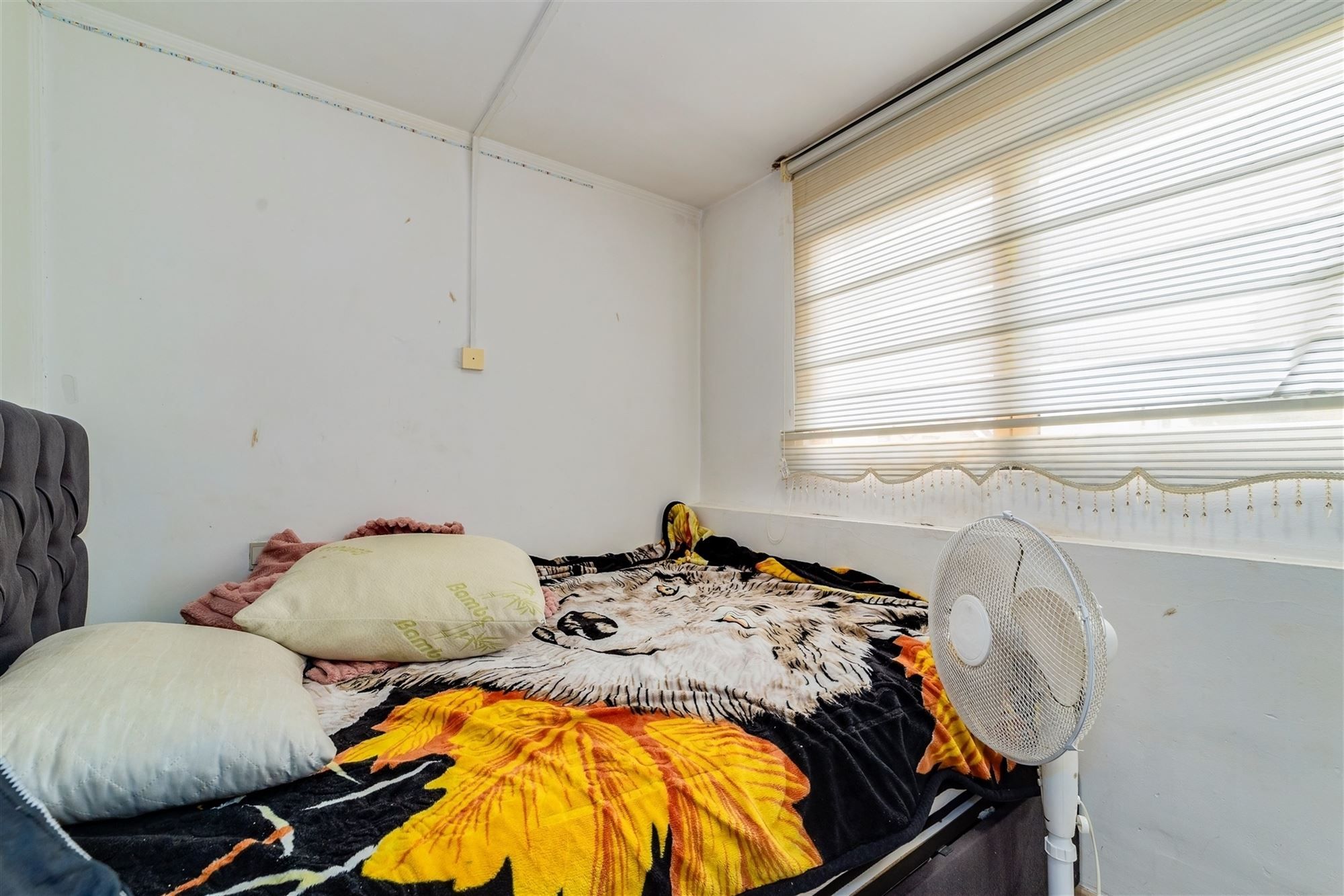 Handelspand - momenteel verhuurd aan 3300 euro/maand foto 12