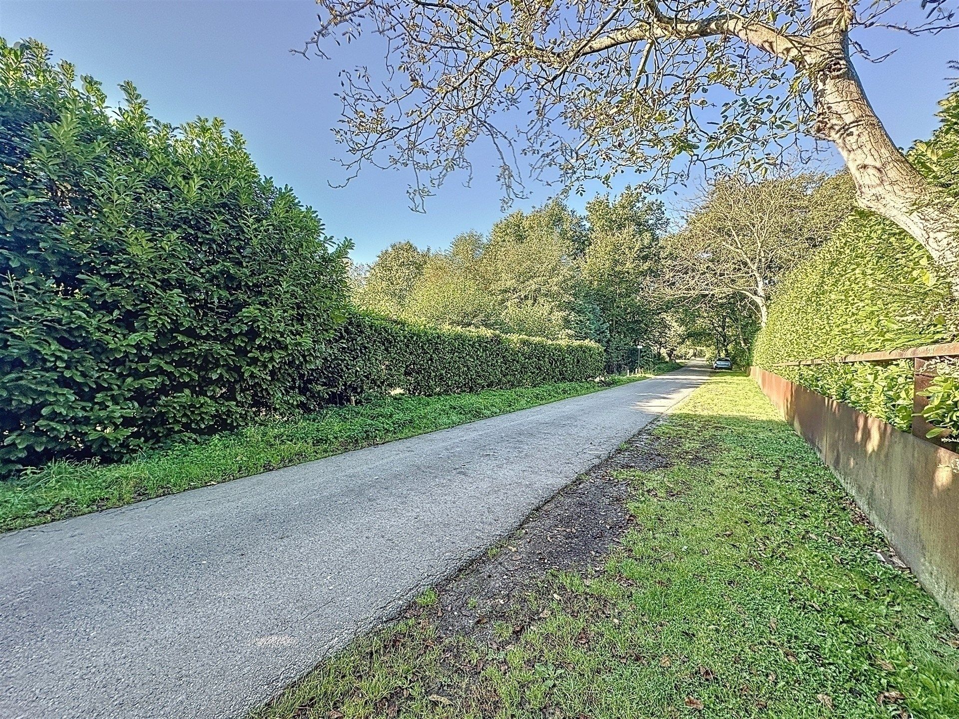 Charmante woning met bijgebouwen op 2435m².  foto 20