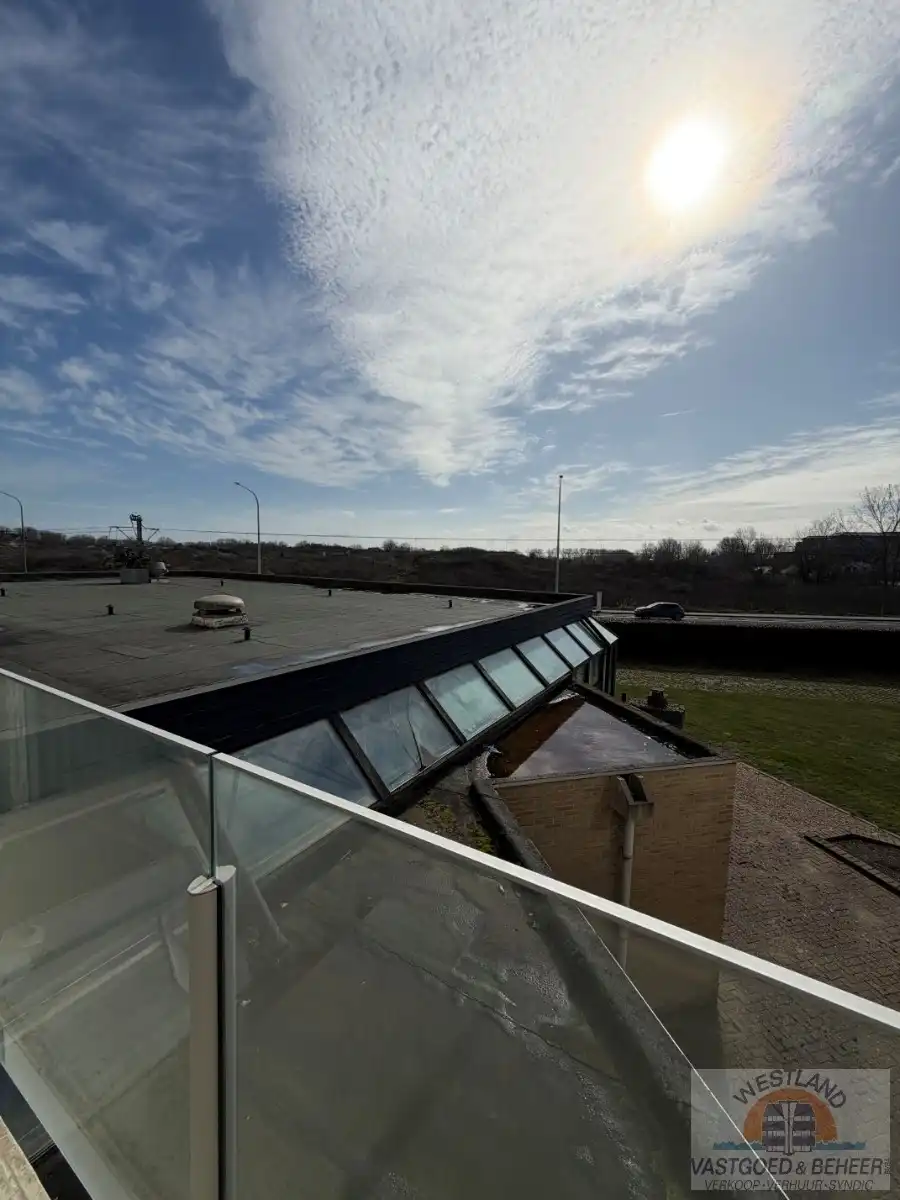 Ruime studio met zicht op de duinen foto 6