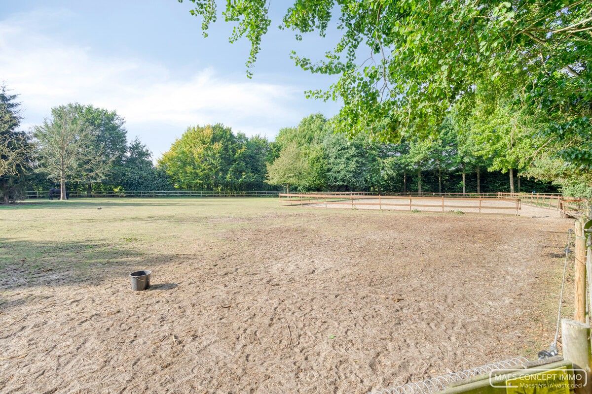 Authentieke hoeve te koop in Anzegem – omringd door 1,6 hectare groen foto 37