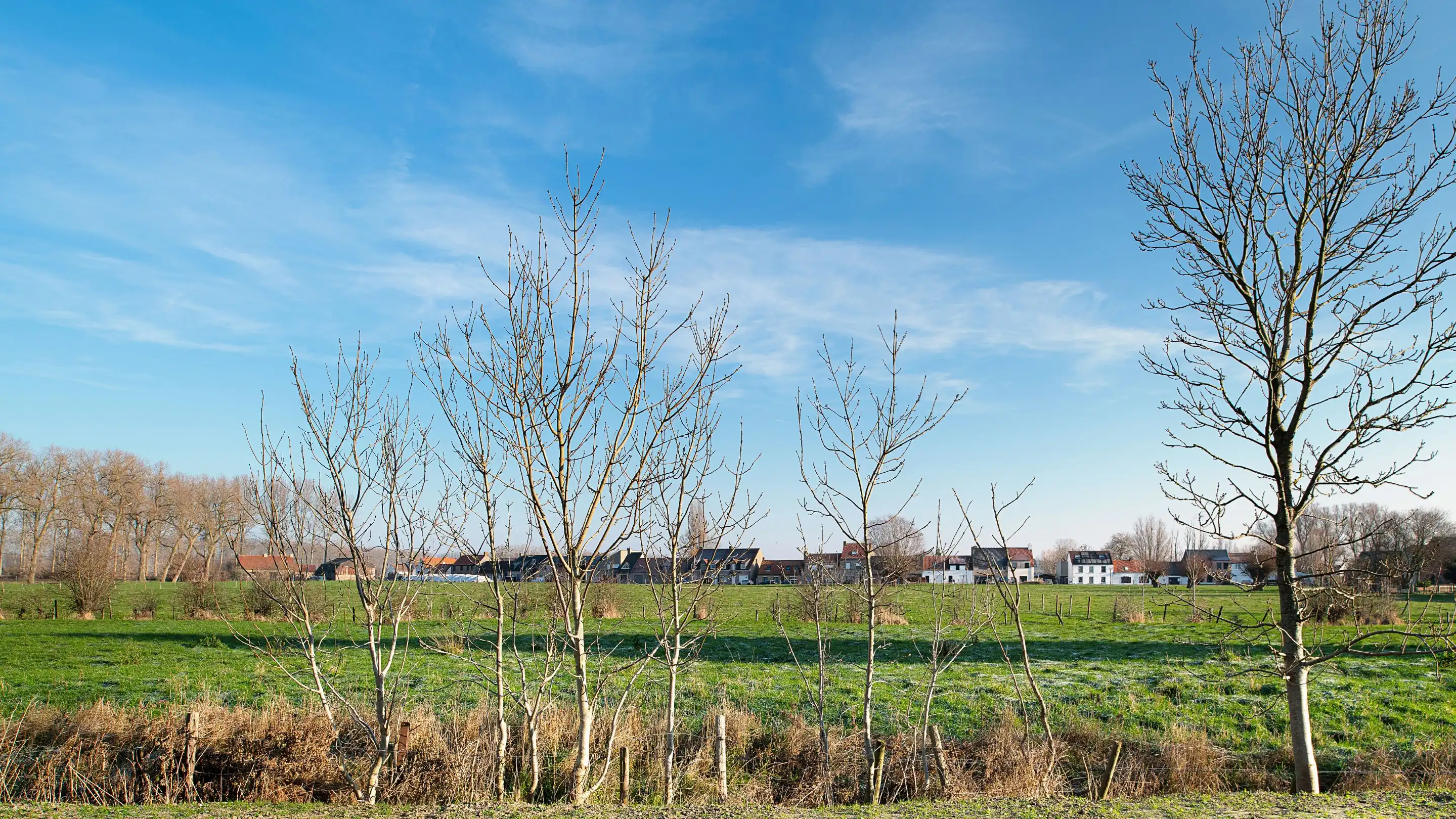 Nieuwbouw woning rustig gelegen te Lapscheure. foto 8