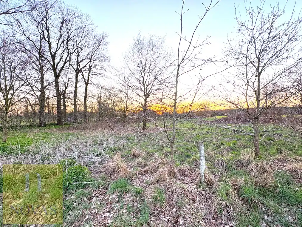 Mooi perceel landbouwgrond aan de straat, 17are 25ca foto 4