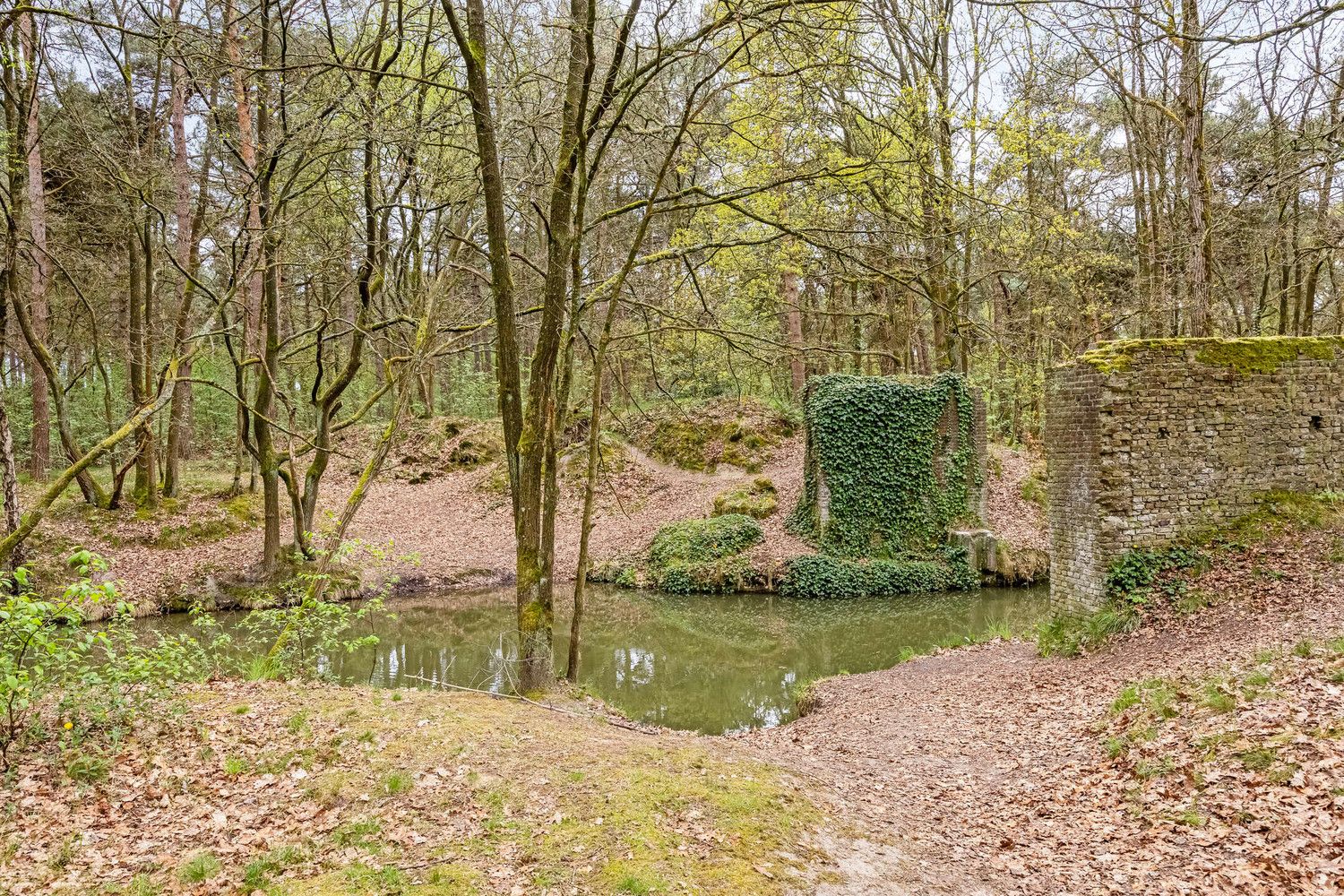 Idyllisch gelegen landhuis in een oase van rust te Lommel foto 42