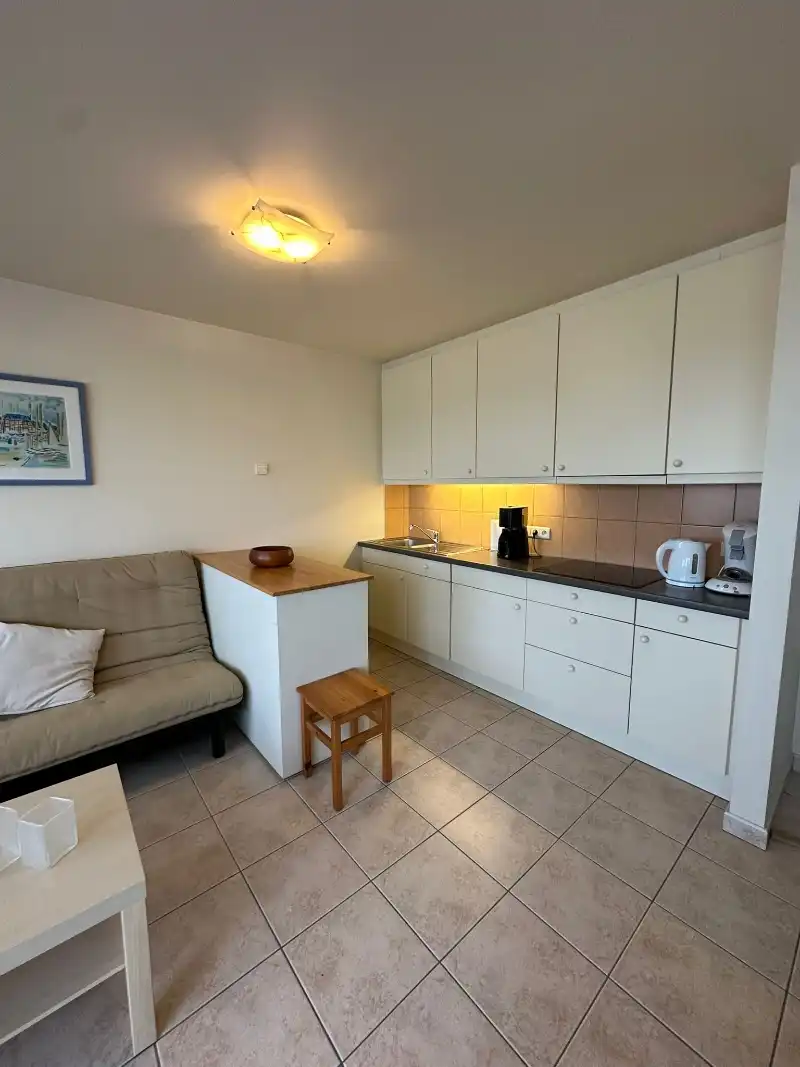 Mooi dakappartement met een groot dakterras en panoramisch uitzicht foto 7
