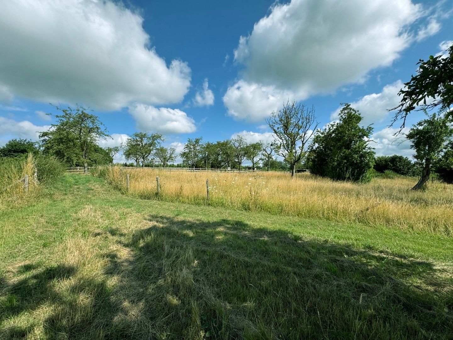 Uitgestrekte paardenweide van 68a 17ca – volledig omheind en klaar voor gebruik foto 6