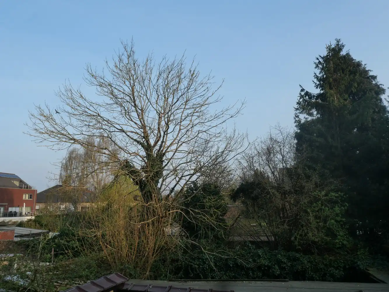 Appartement te Asse Centrum foto 6