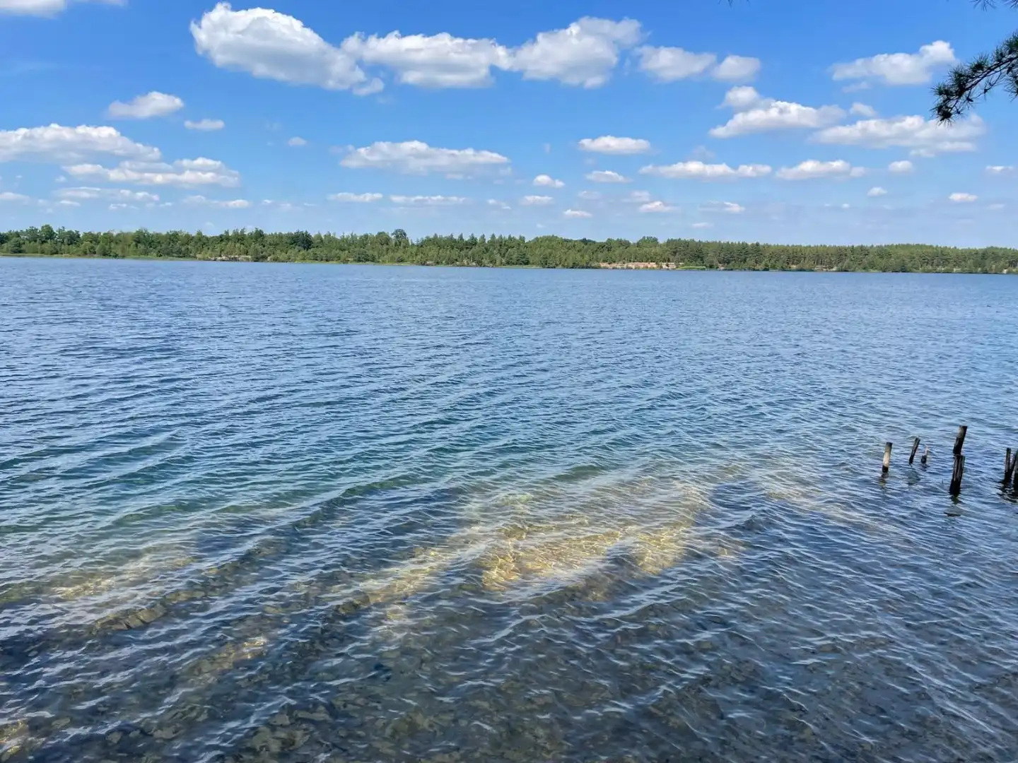 Twee halfopen bebouwingen samen te koop  met uitzicht op natuur en water foto 5