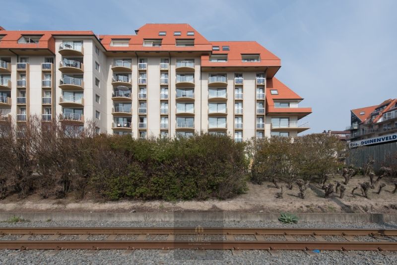 Buitenstaanplaats BP 420 - Residentie Duinenveld. foto 5