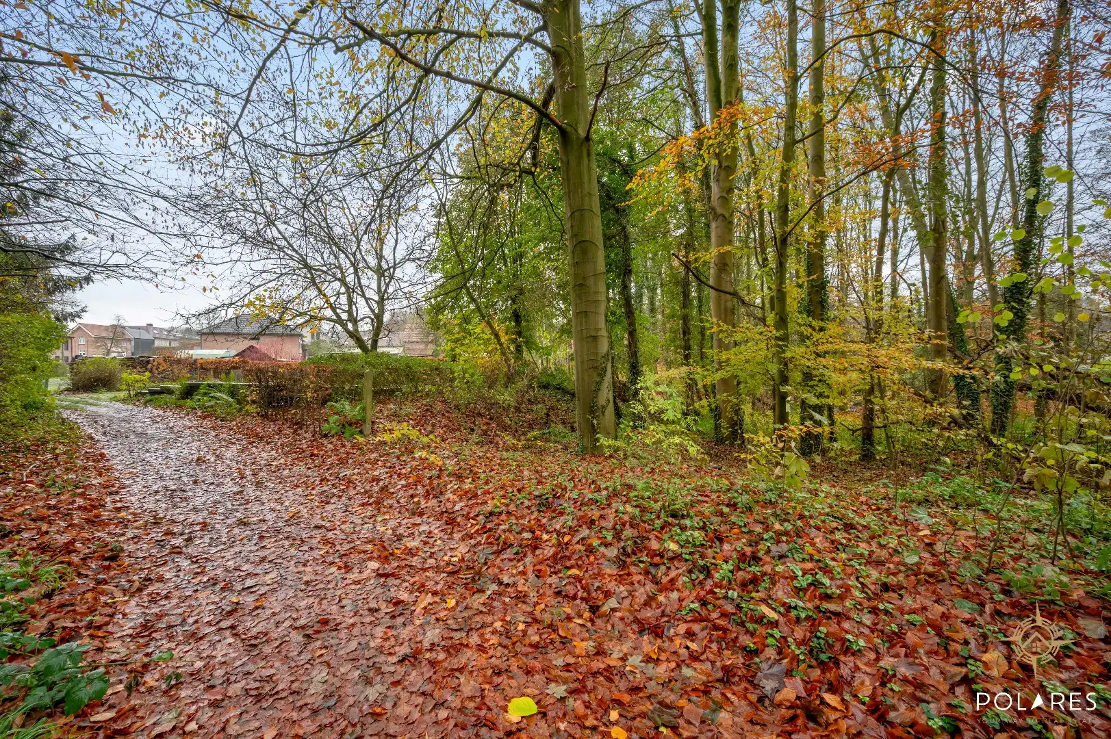 Uniek stuk grond op topligging in Oud-Heverlee foto 7