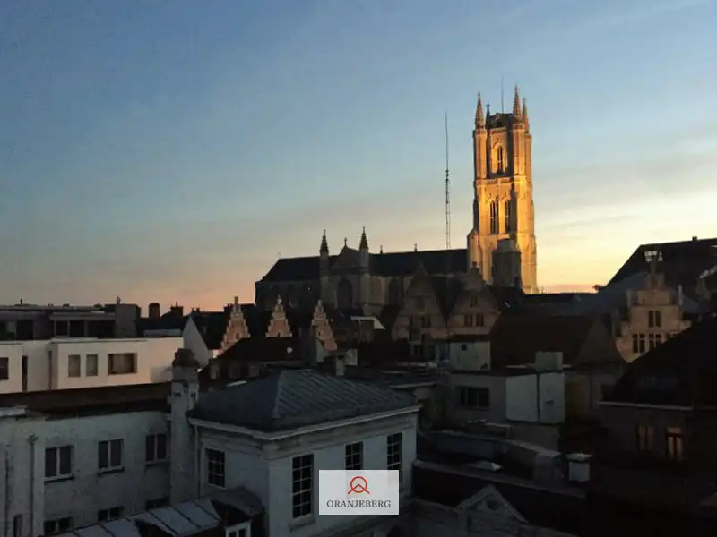 Zalige exclusieve penthouse met zuidgericht terras en uniek zicht op de torens! foto 8