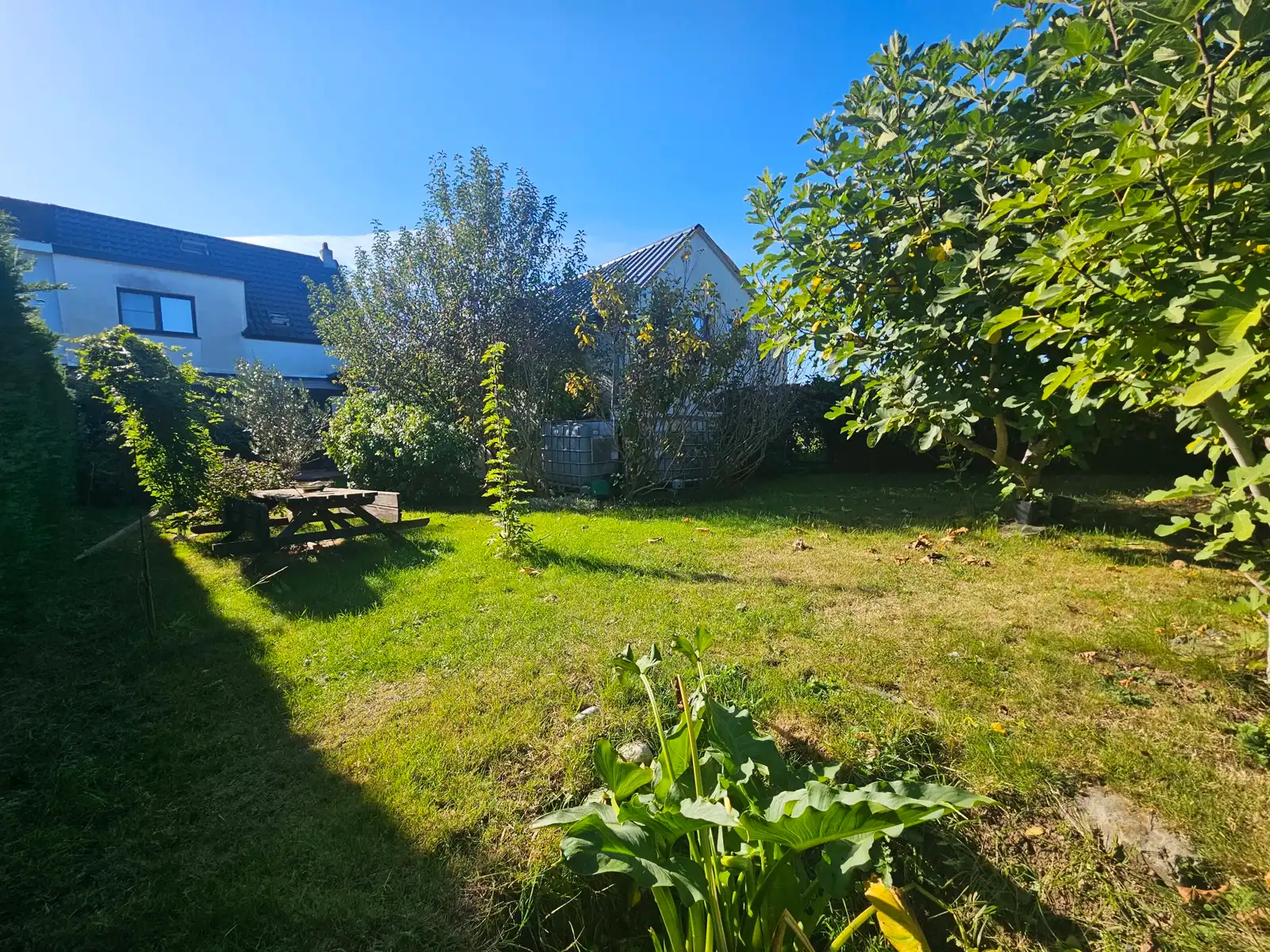 Goed gelegen woning met ruime loods foto 2
