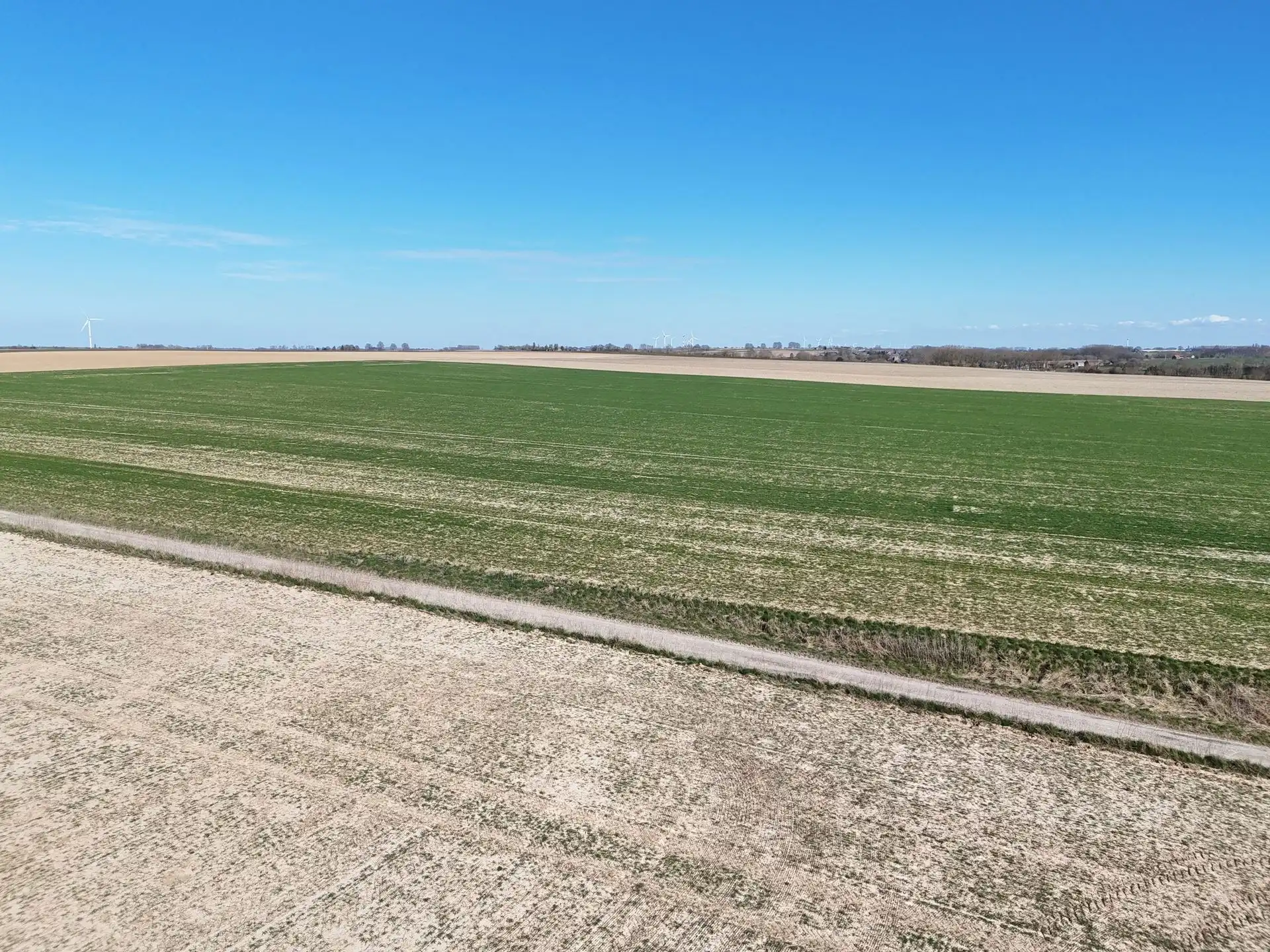 Groot perceel landbouwgrond - BLOK A foto 8