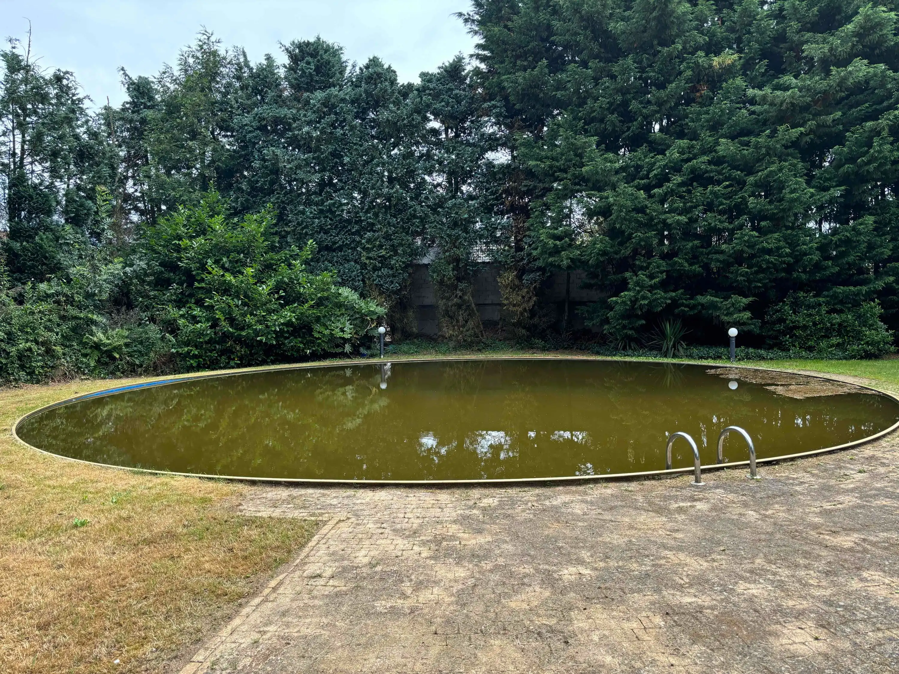 Prachtige woonst op 45a51ca in Meerhout foto 5