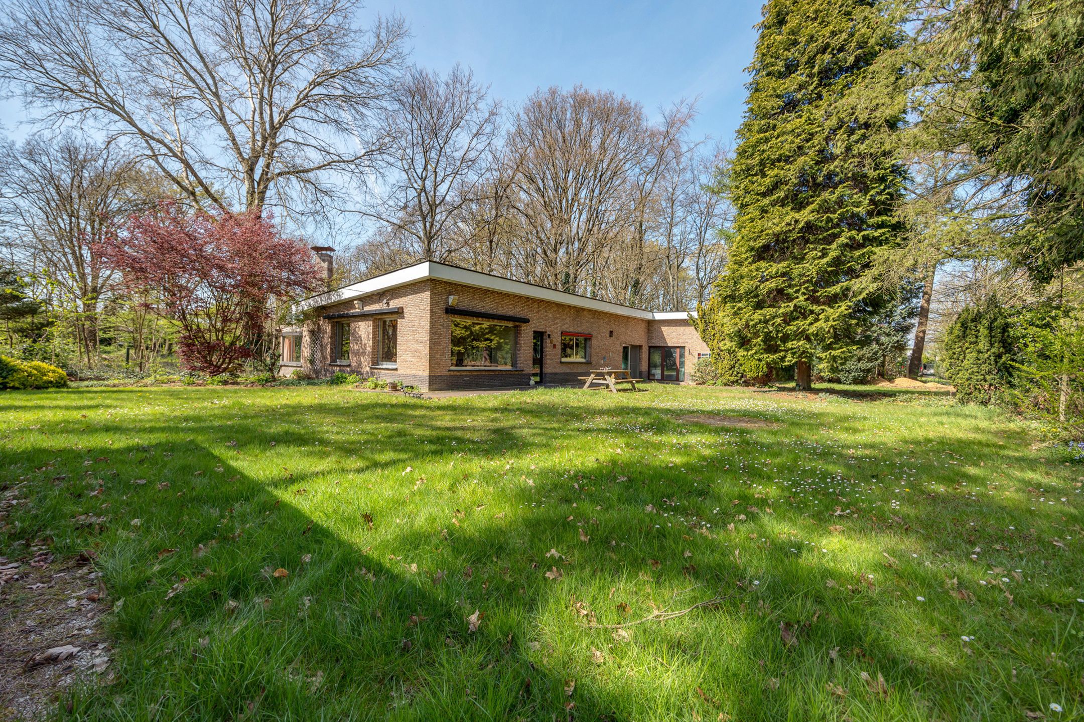 Laagbouwwoning te midden van het groen  foto 2