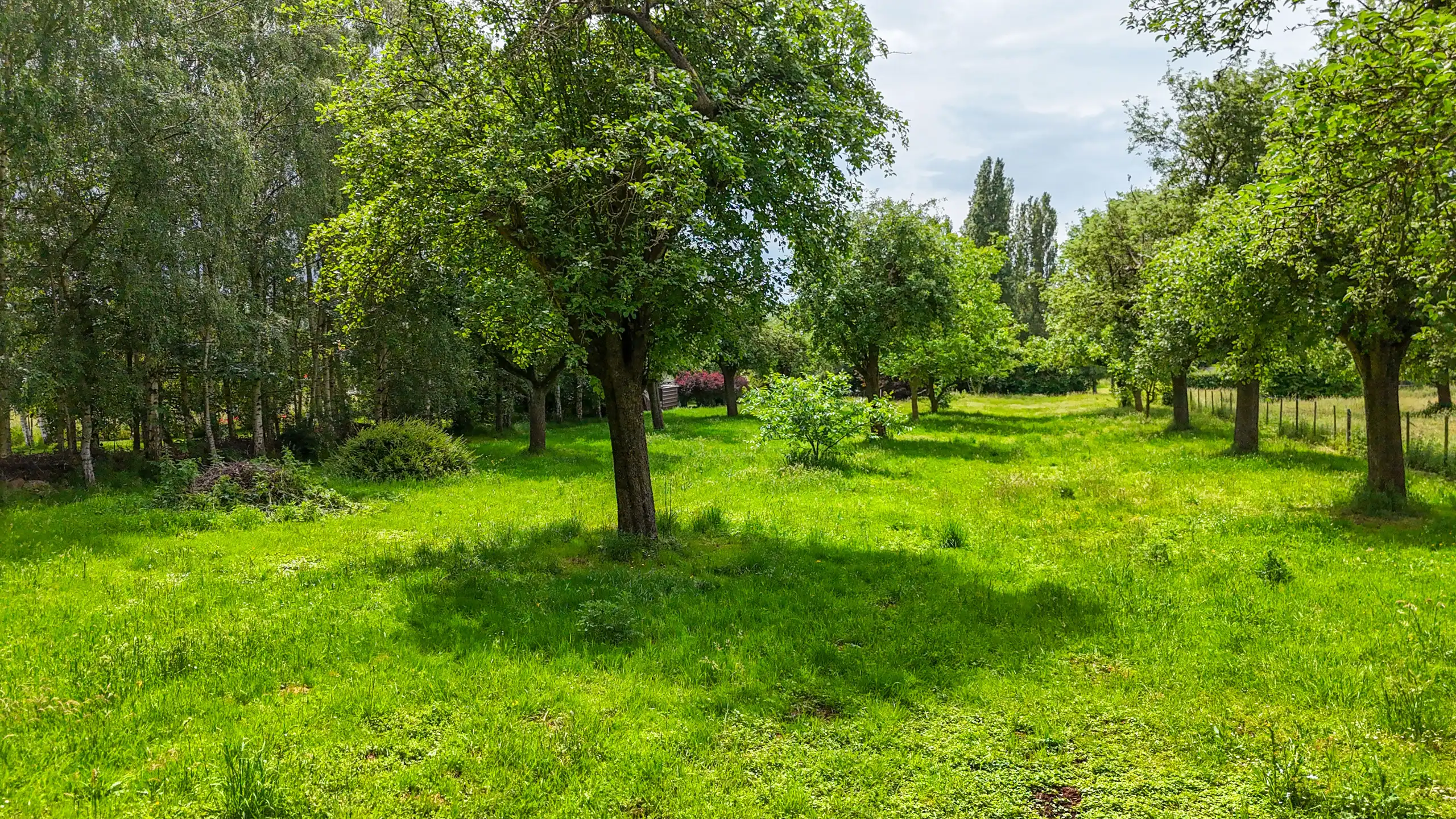 Authentieke hoeve met perceel van 68are en 2slpks! foto 59