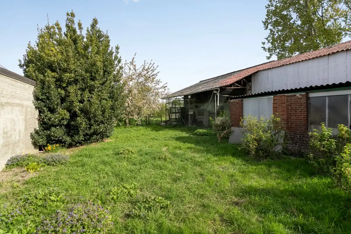Hoeve nabij natuurgebied ’t Burreken (Brakel)! foto 14