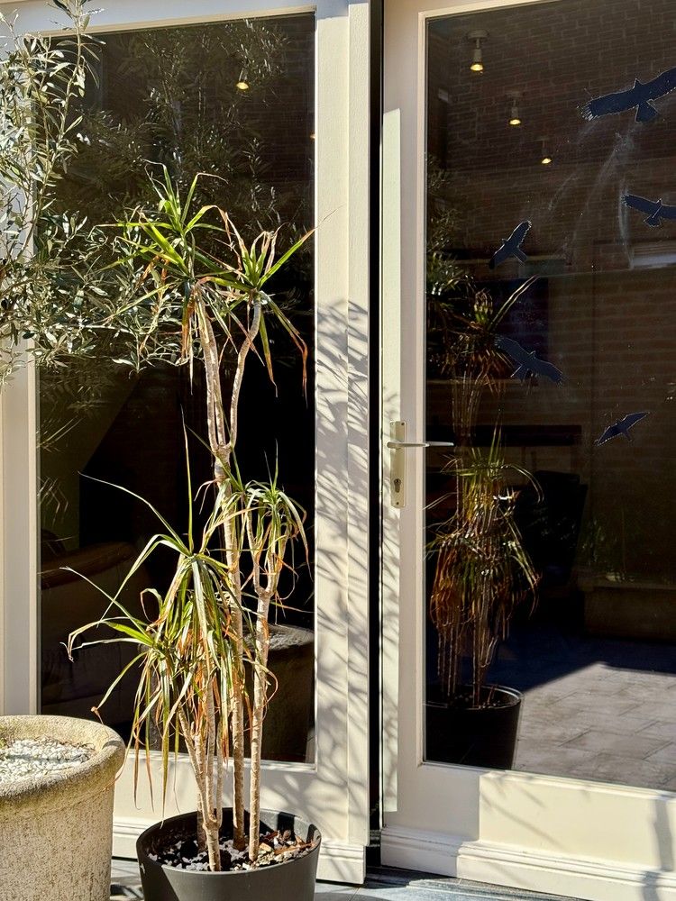 Charmante, volledige instapklare woning in hartje Tongeren foto 6