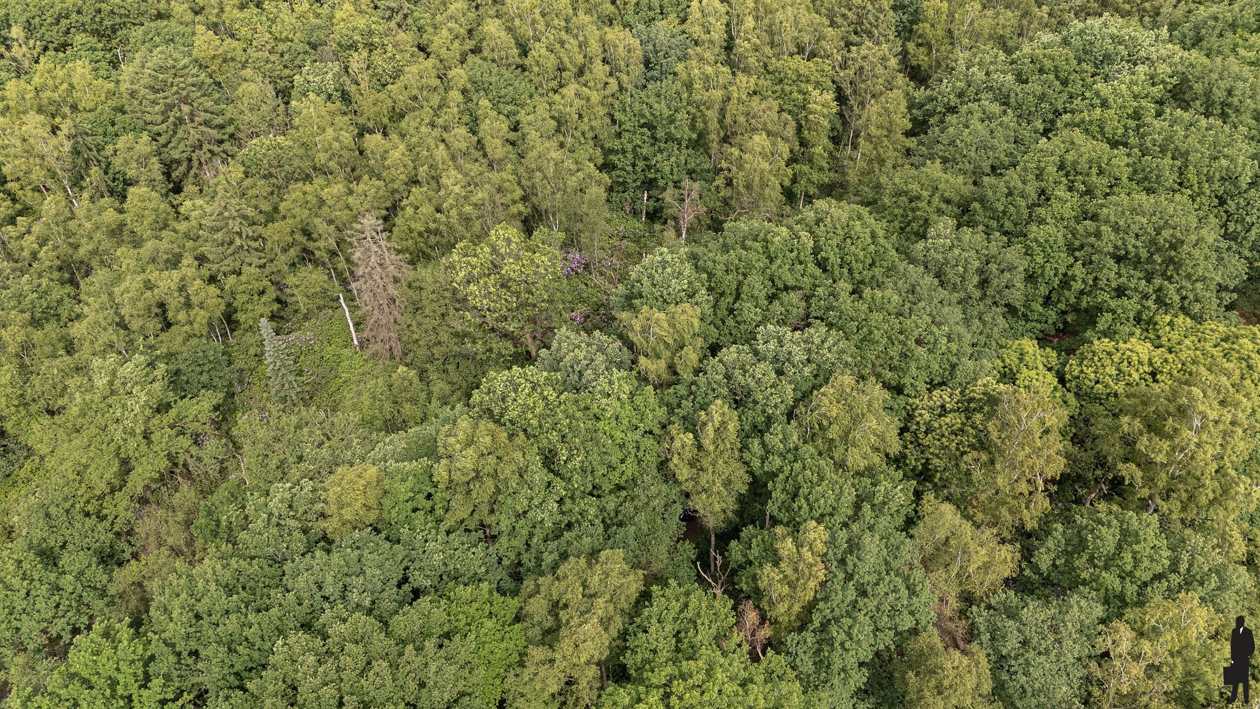 Perceel bosgrond in de prachtige Rode Dreef te Gooreind foto 3
