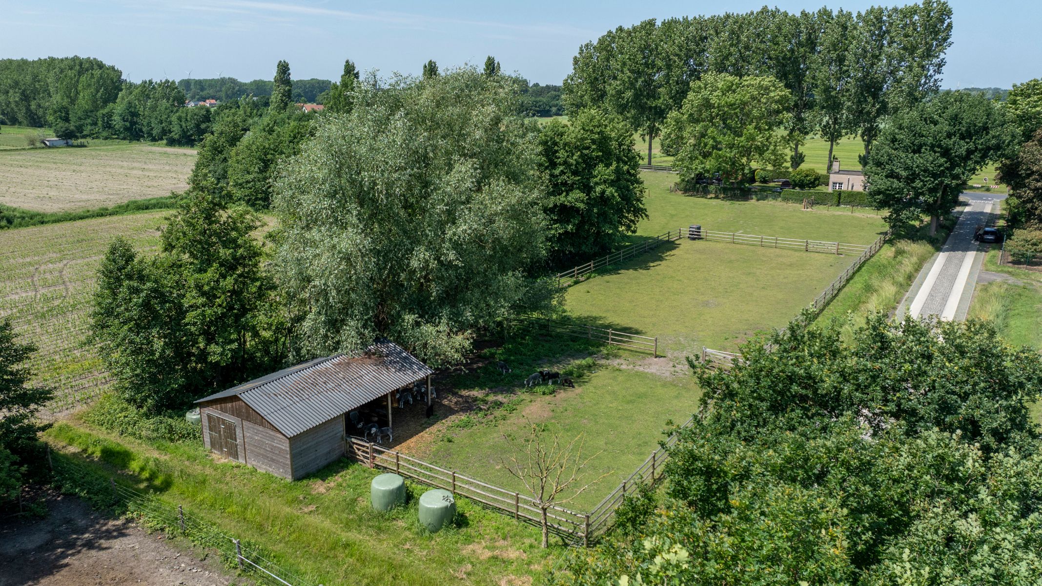 Woning met 3 slaapkamers en 7000m² weide! foto 25