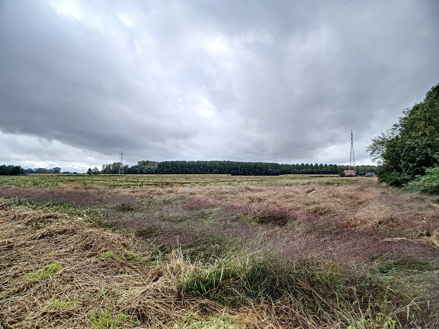 Halfopen bebouwing te Putkapel foto 23
