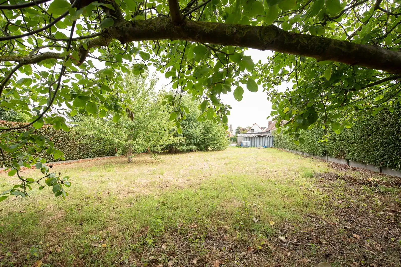 Woning voor totaalrenovatie of afbraak op 854 m² op topligging te Zulte! foto 9