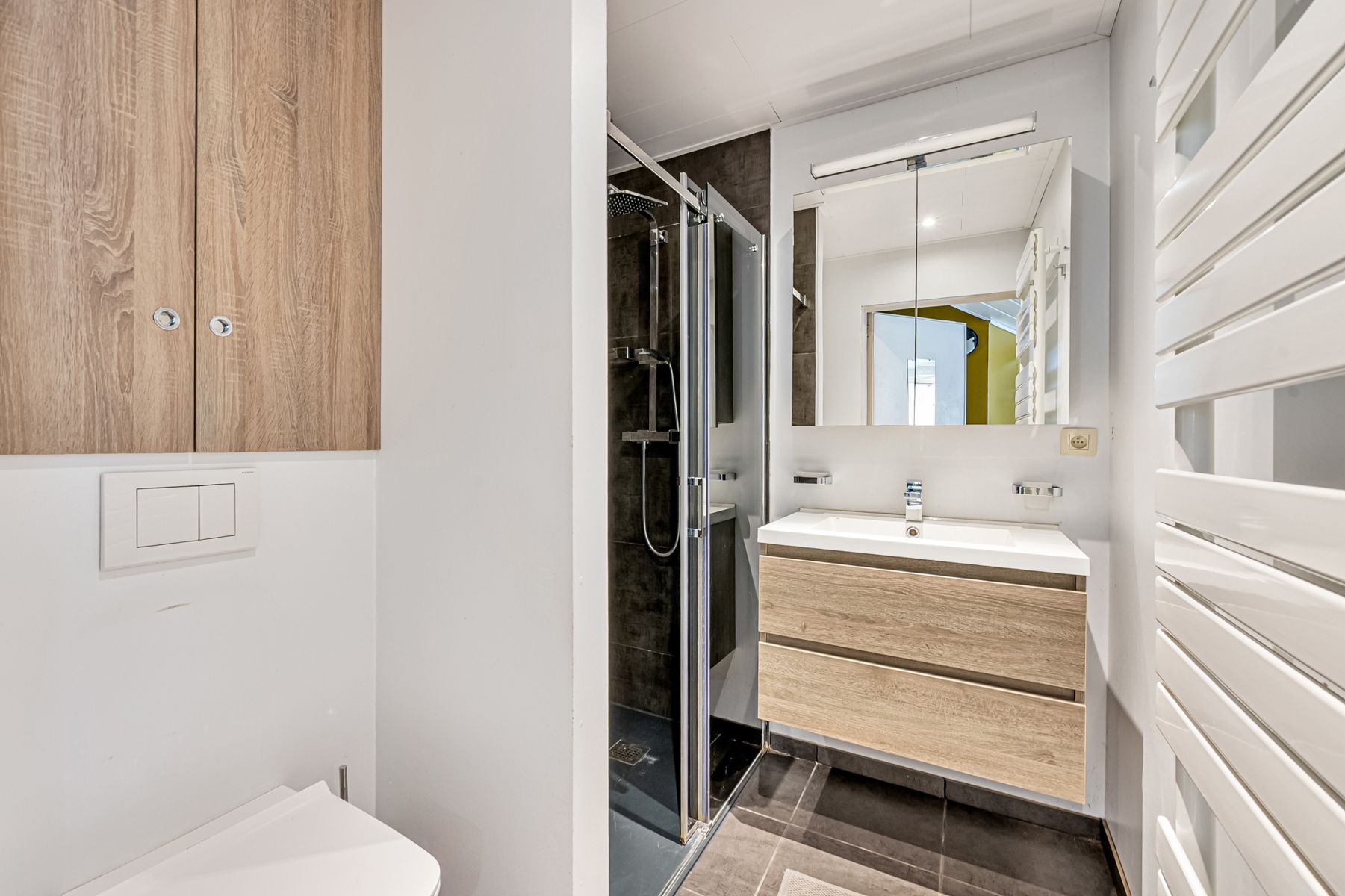 Ruime woning met atelier en garage op perceel van 32 are  foto 22