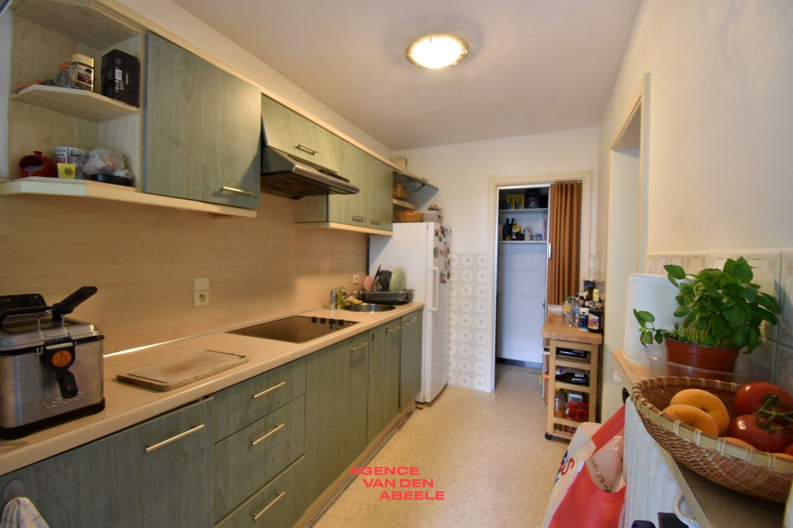 Ruim woonappartement met 1 slaapkamer en grote garage  foto 4