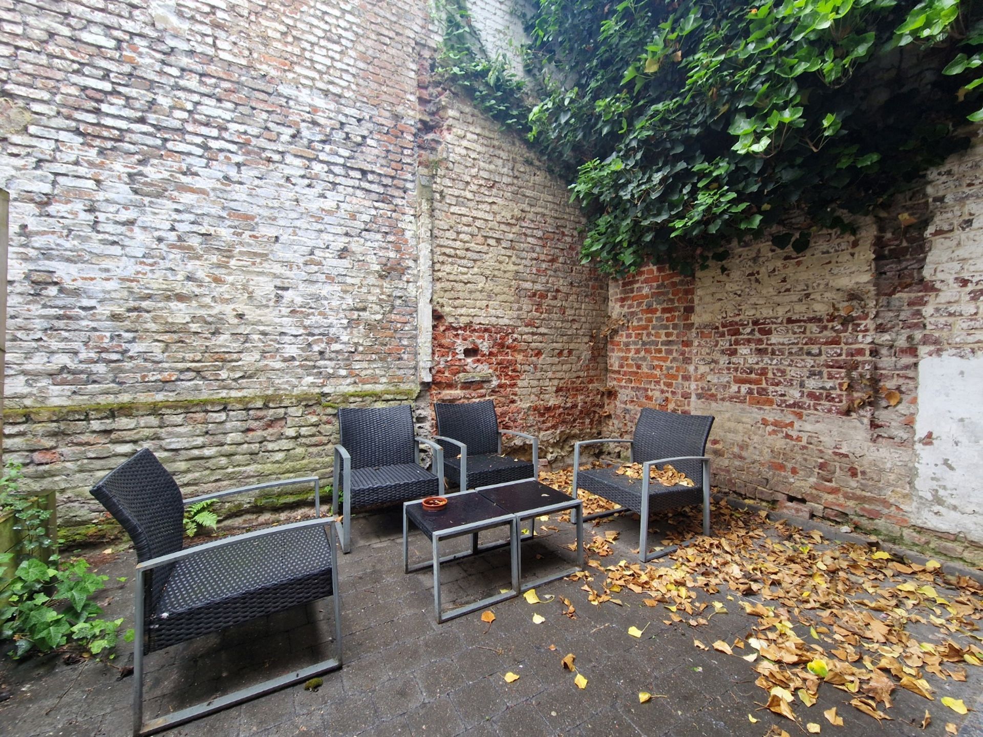 Gelijkvloerse recente studio met terras en eigen sanitair foto 7