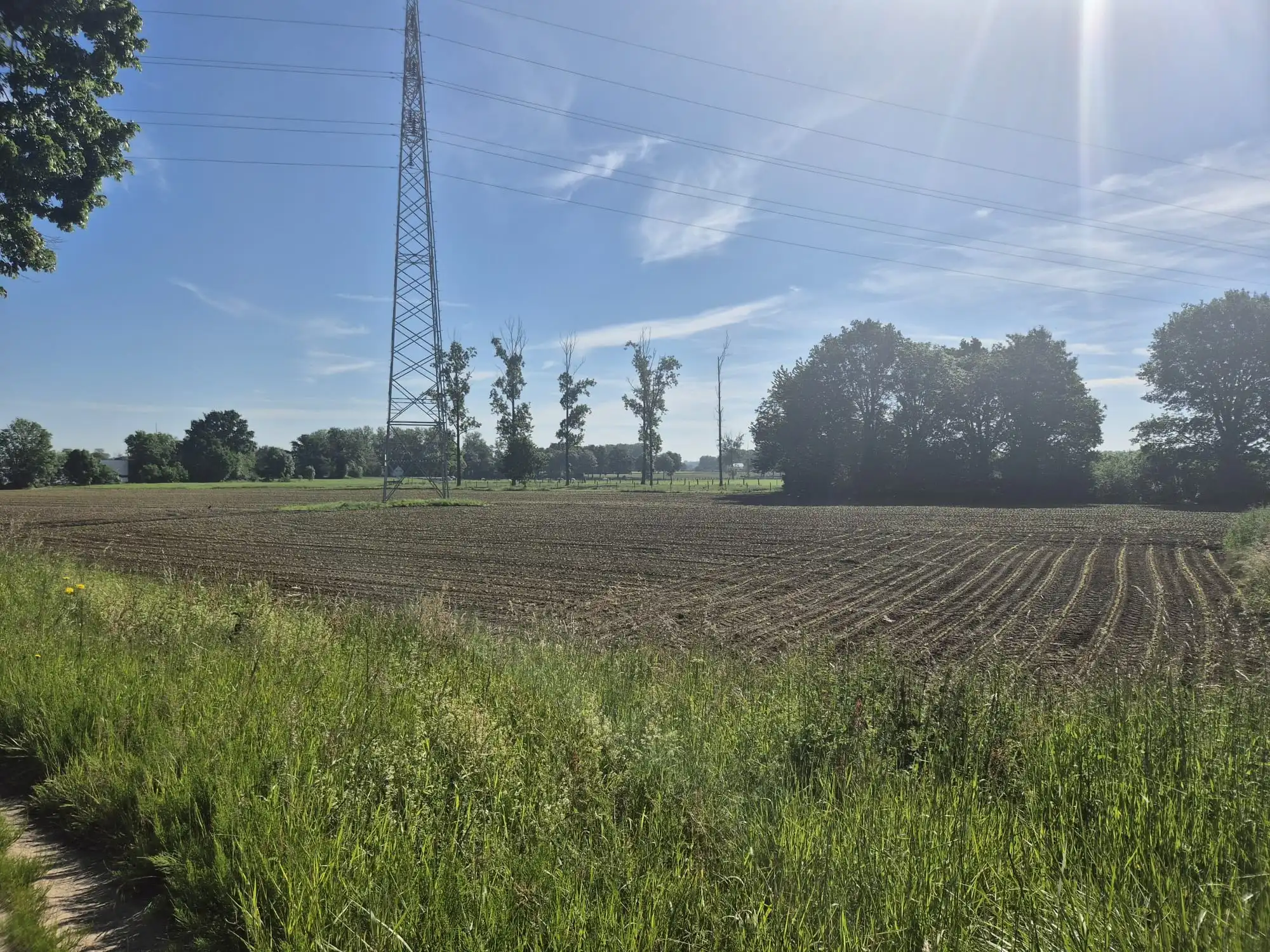 Prachtig stuk weiland te koop foto 3