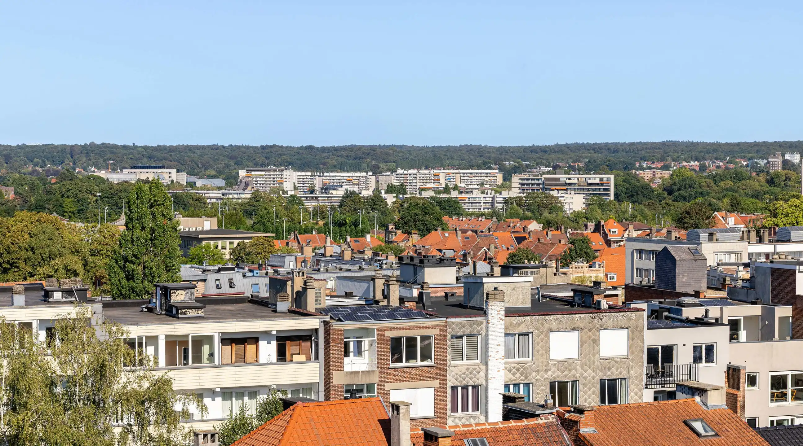 ELSENE : Penthouse tussen de begraafplaats en Terkameren foto 29