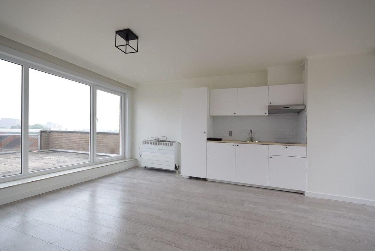 INSTAPKLARE STUDIO (33 m²) MET GUNSTIGE LIGGING | 2 RUIME DAKTERRASSEN  foto 4