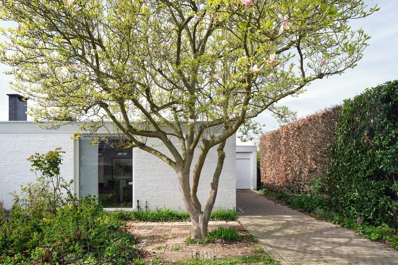 Organische architecten- en kunstenaarswoning foto 5