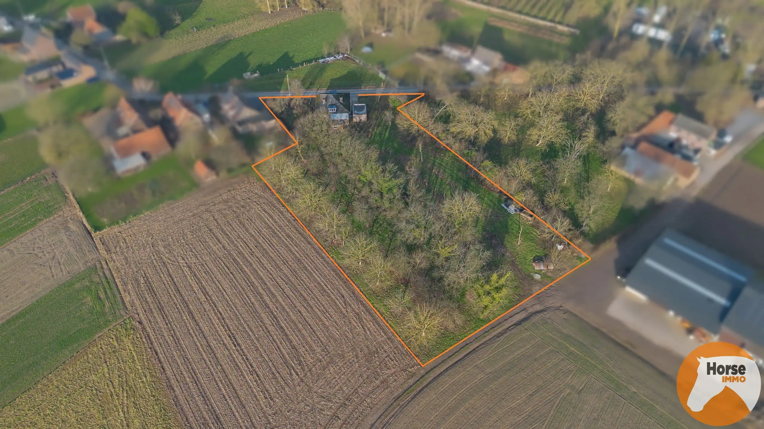 HERZELE - Vrijstaande woning in een landelijke omgeving foto 2