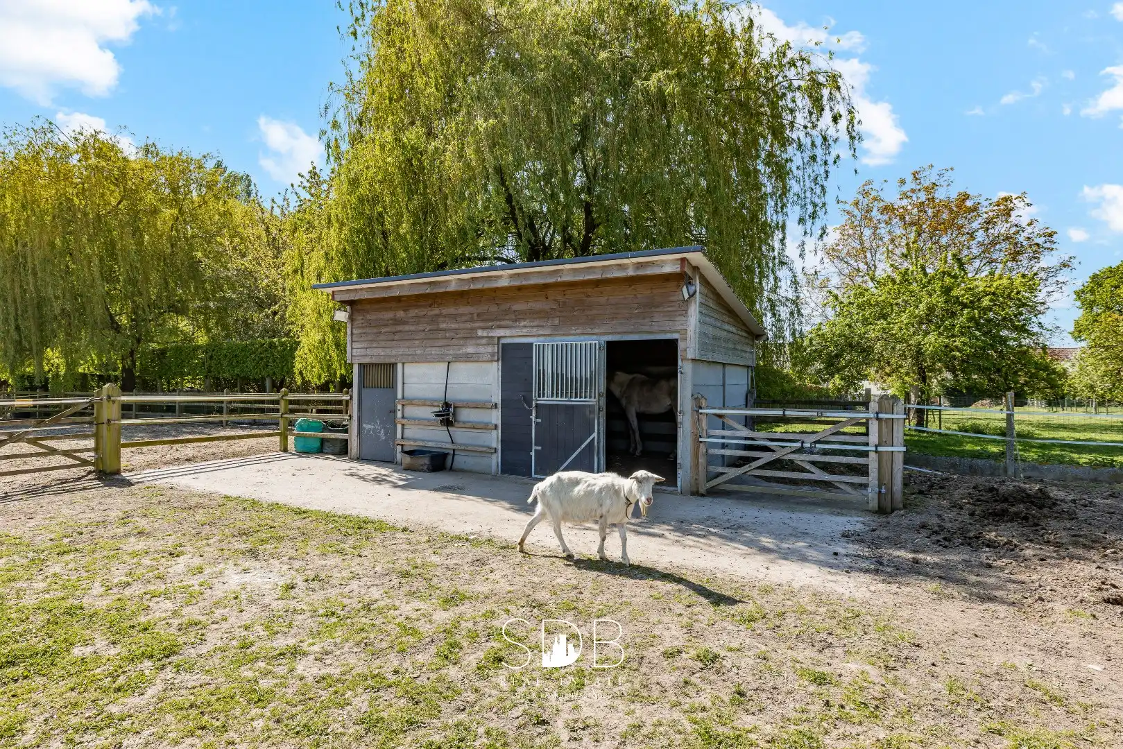 Prachtige stijlvolle woning met bijgebouwen, buitenpiste en graslanden  foto 42
