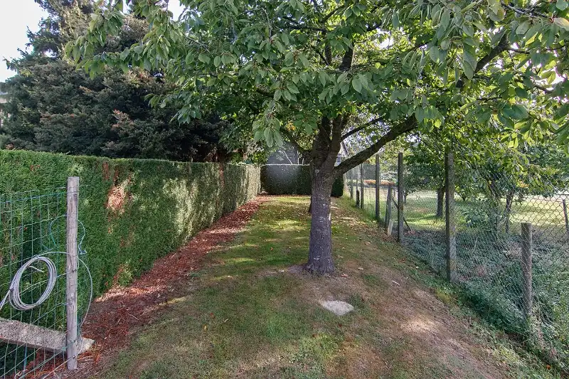 Achtergelegen woning met mogelijkheden op ruim, rustig en zonrijk perceel met een mooi zicht op 17 are 97 ca foto 32