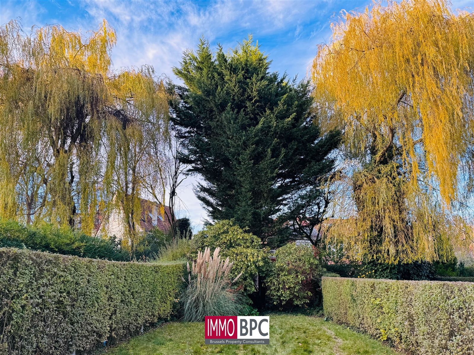 Charmante gezinswoning met grote tuin in rustige buurt van Ganshoren foto 5