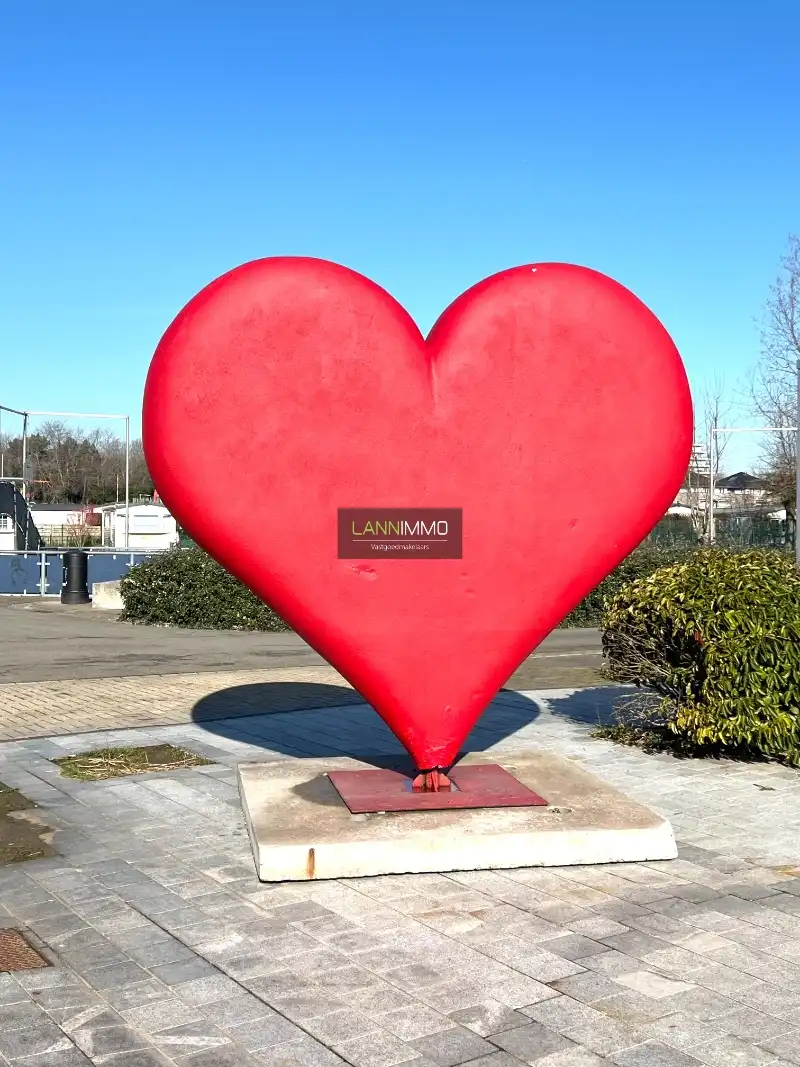 COMPROMIS IN OPMAAK!!! foto 16