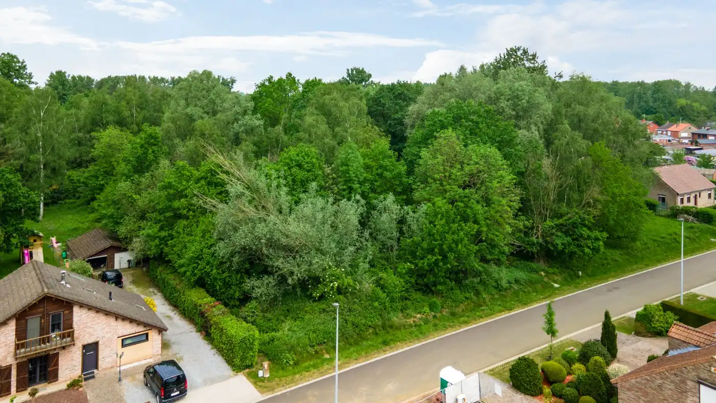 Rustig gelegen bouwgrond van 800m² voor HOB in Olmen foto 18