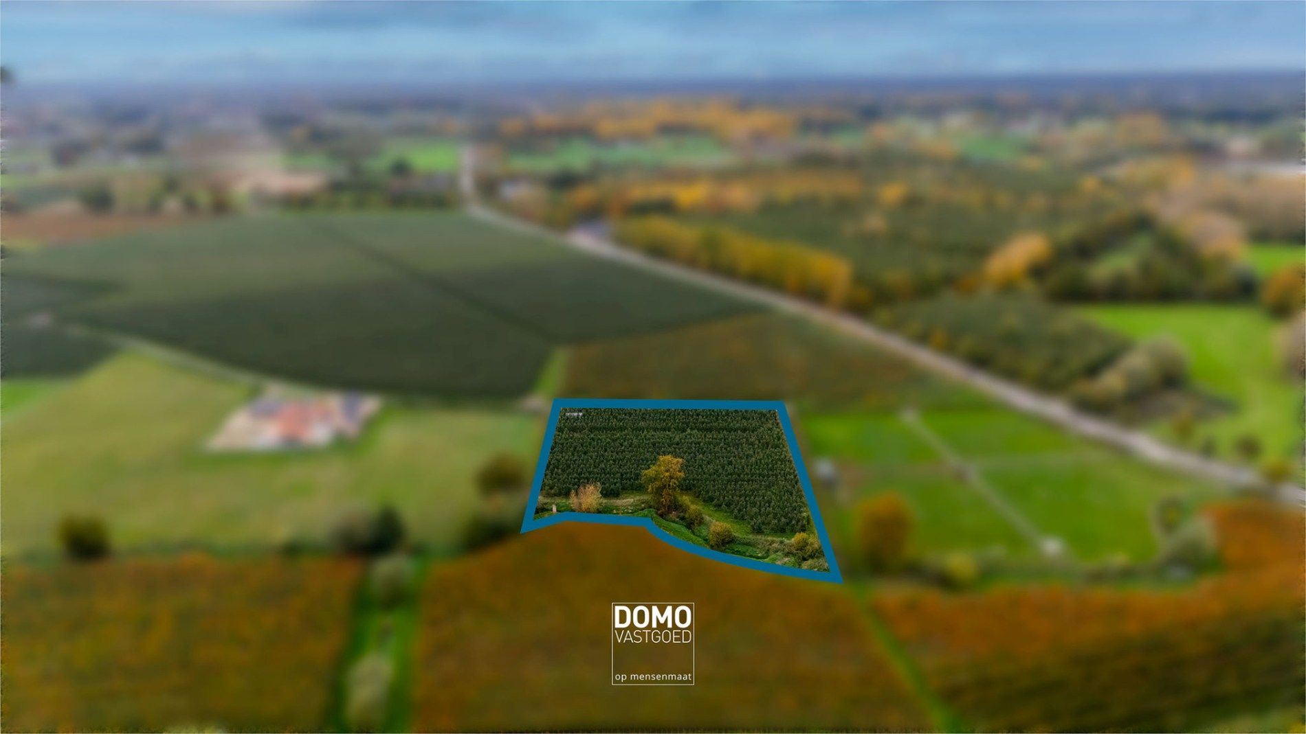 PRACHTIG GELEGEN BOOMGAARD VAN 75A15CA TE KOOP TE HERK-DE-STAD  foto {{pictureIndex}}