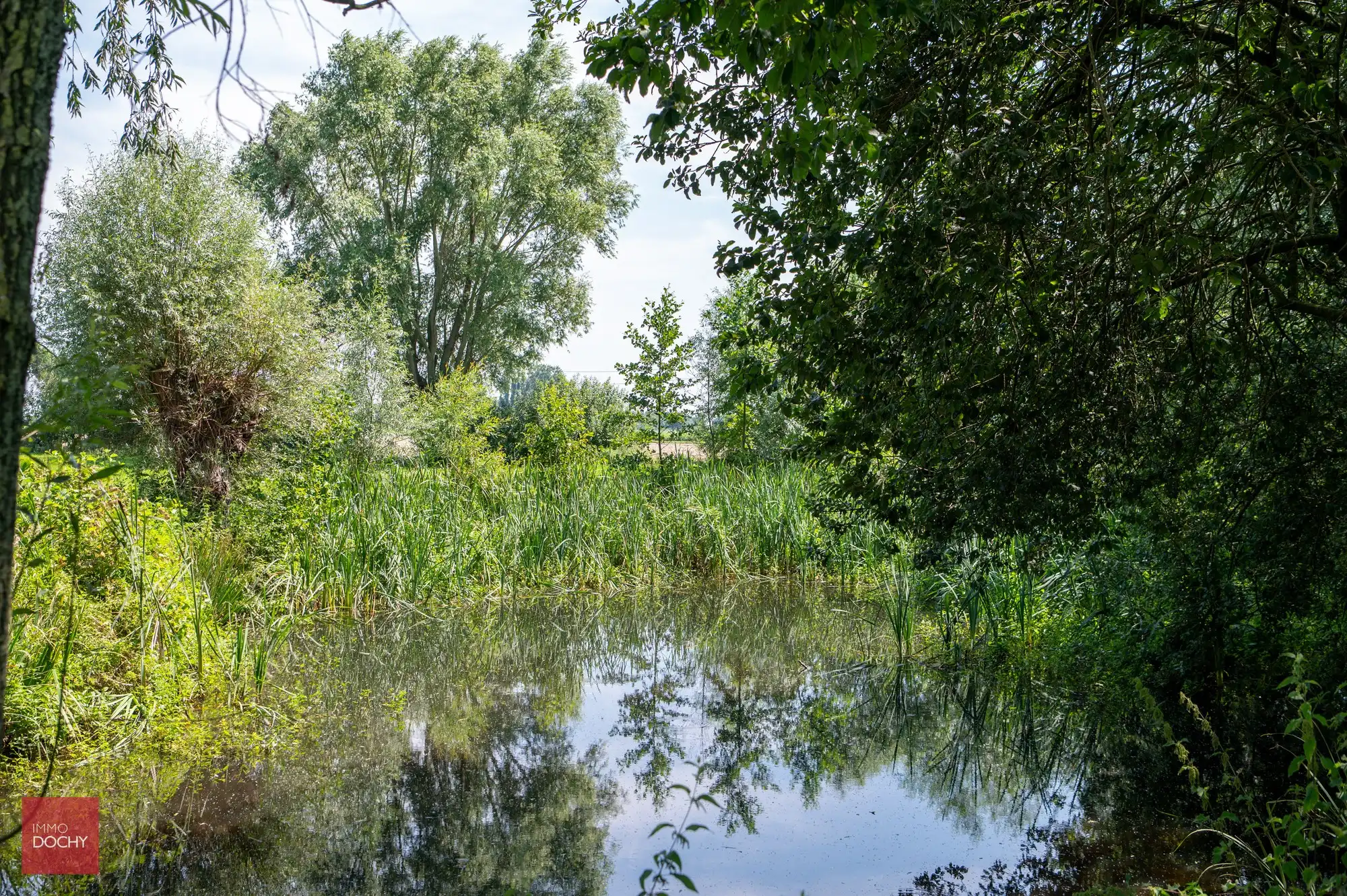 Uniek en discreet gelegen landhuis met private oprijlaan | Poelberg foto 12